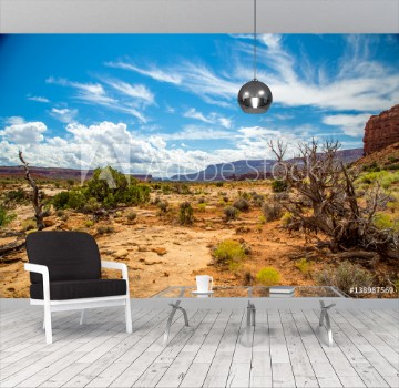 Picture of Jacobs Chair at Fry Canyon